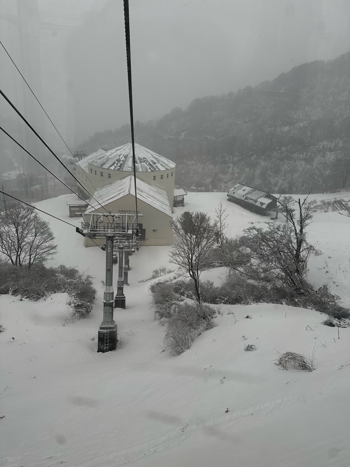 ロッテ アライリゾート