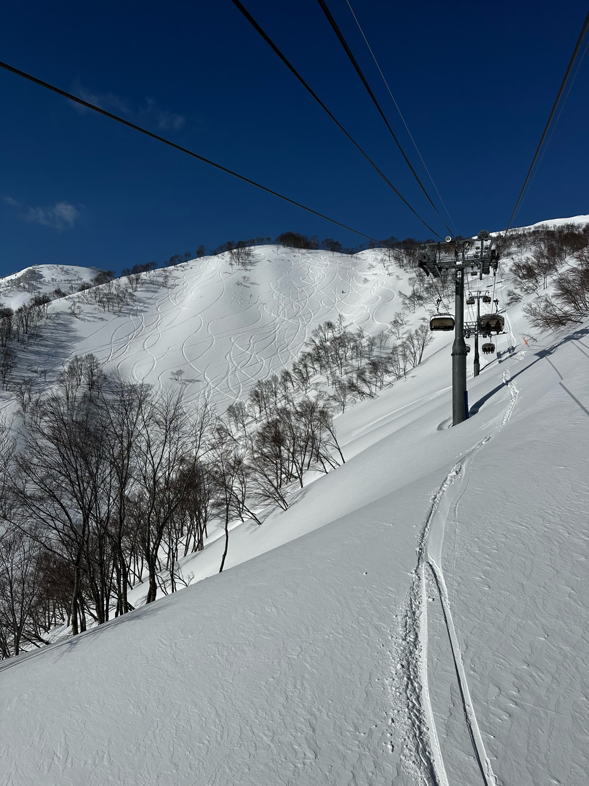 ロッテ アライリゾート