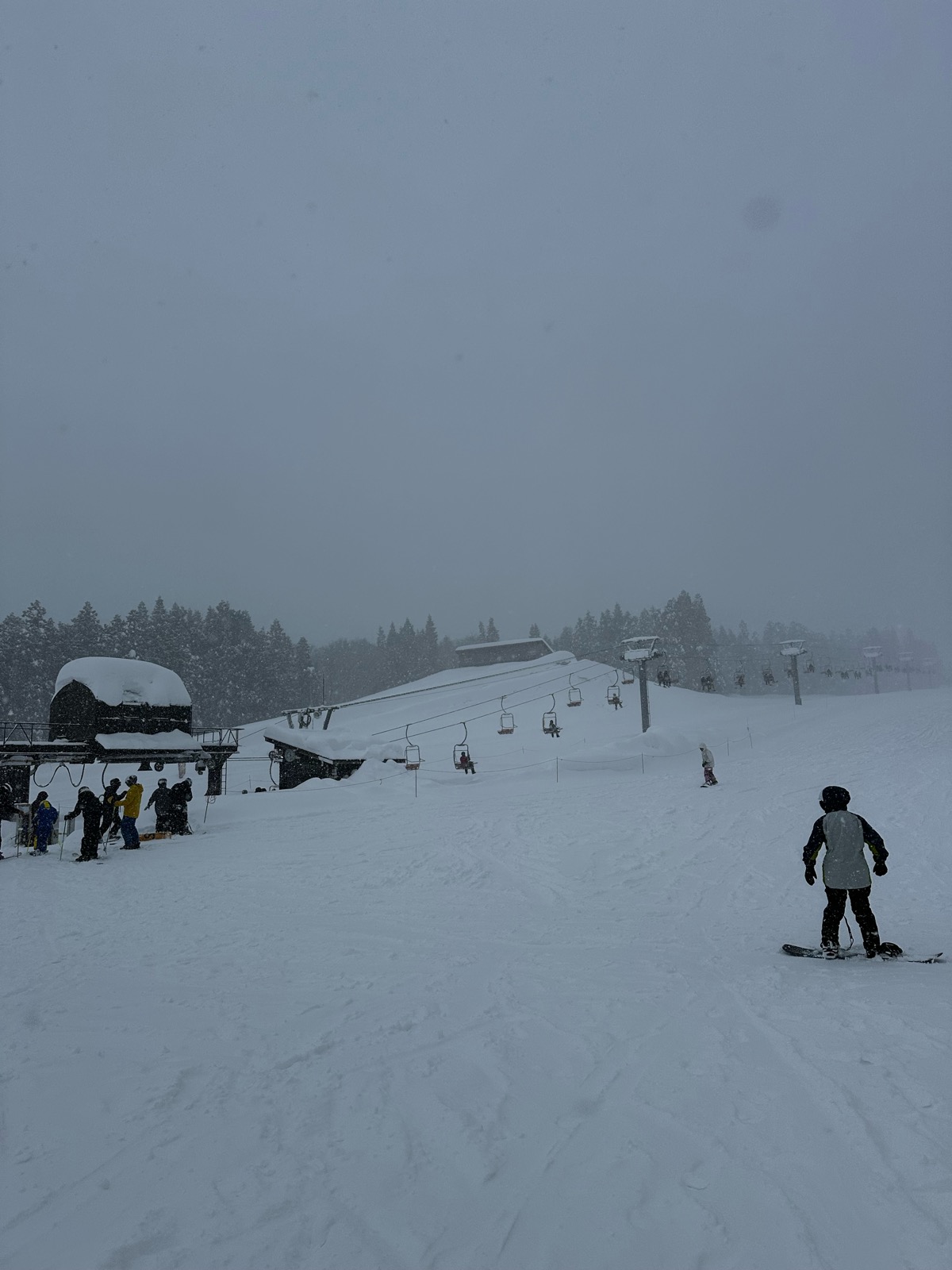 ロッテ アライリゾート