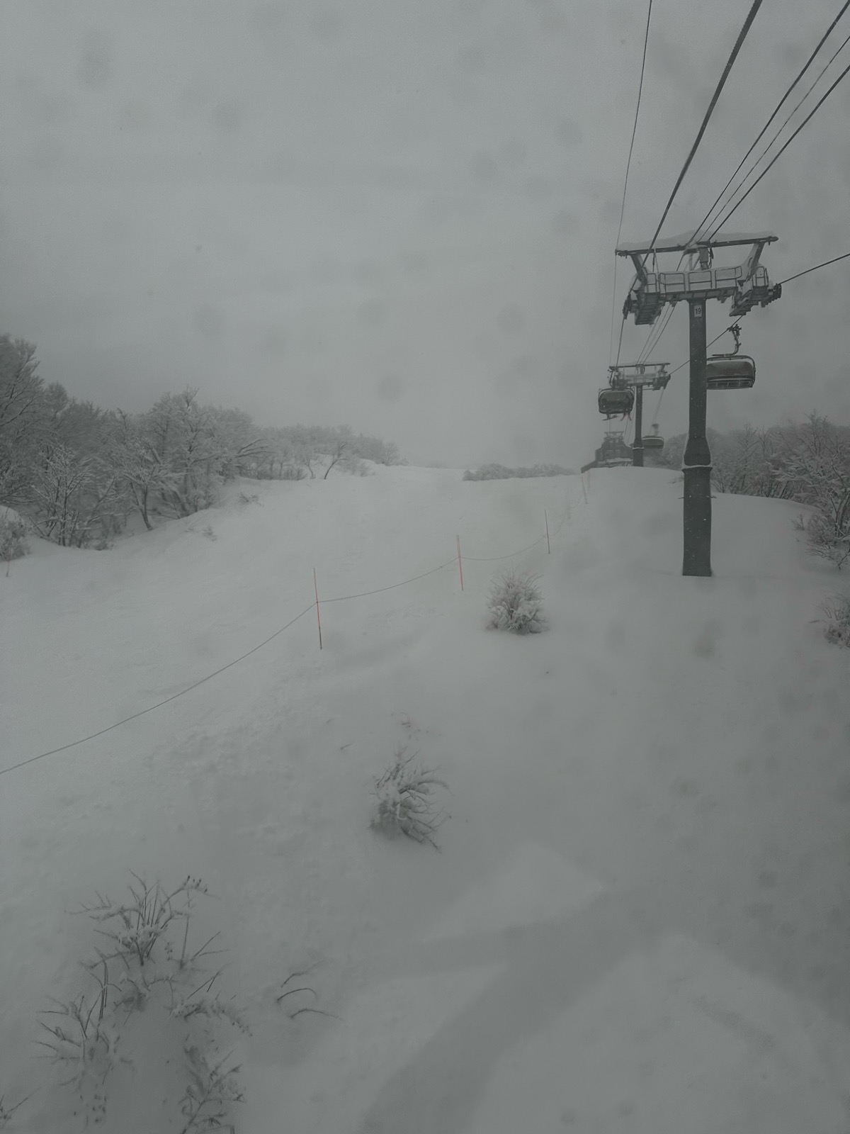 ロッテ アライリゾート