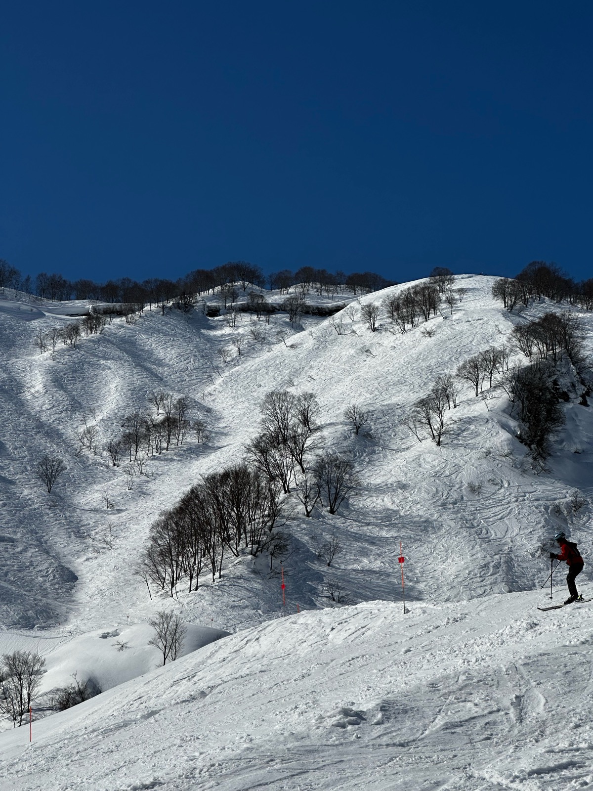 ロッテ アライリゾート