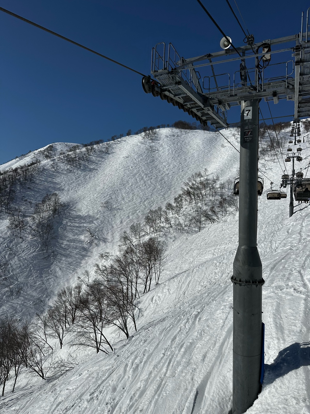 ロッテ アライリゾート