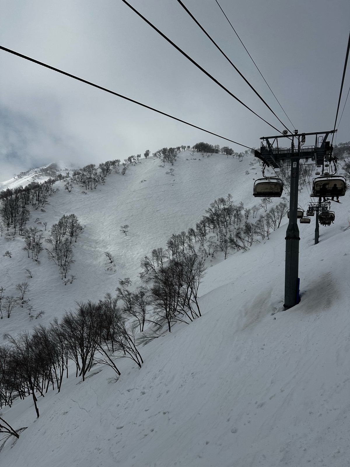 ロッテ アライリゾート