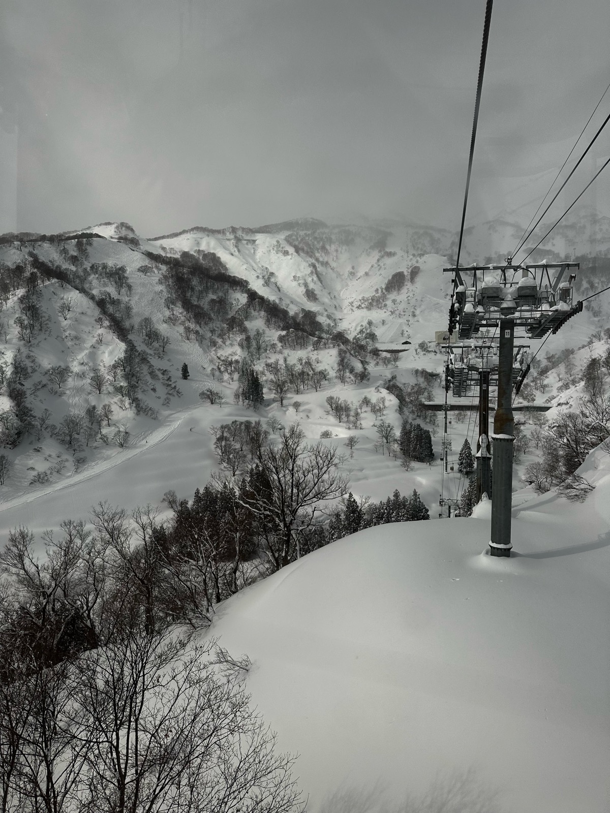 ロッテ アライリゾート