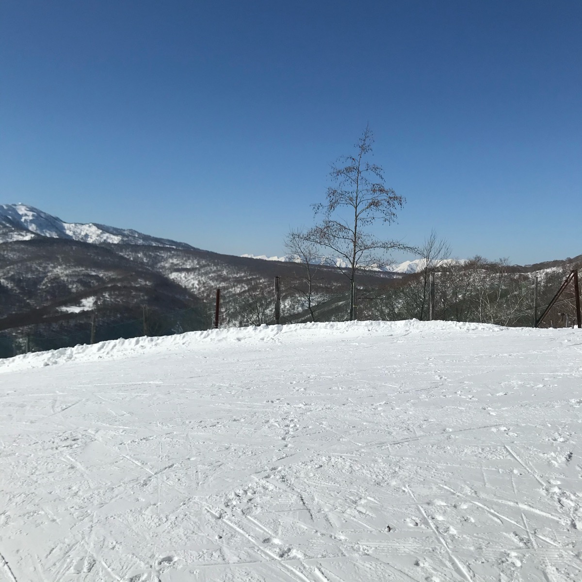 ホワイトワールド尾瀬岩鞍