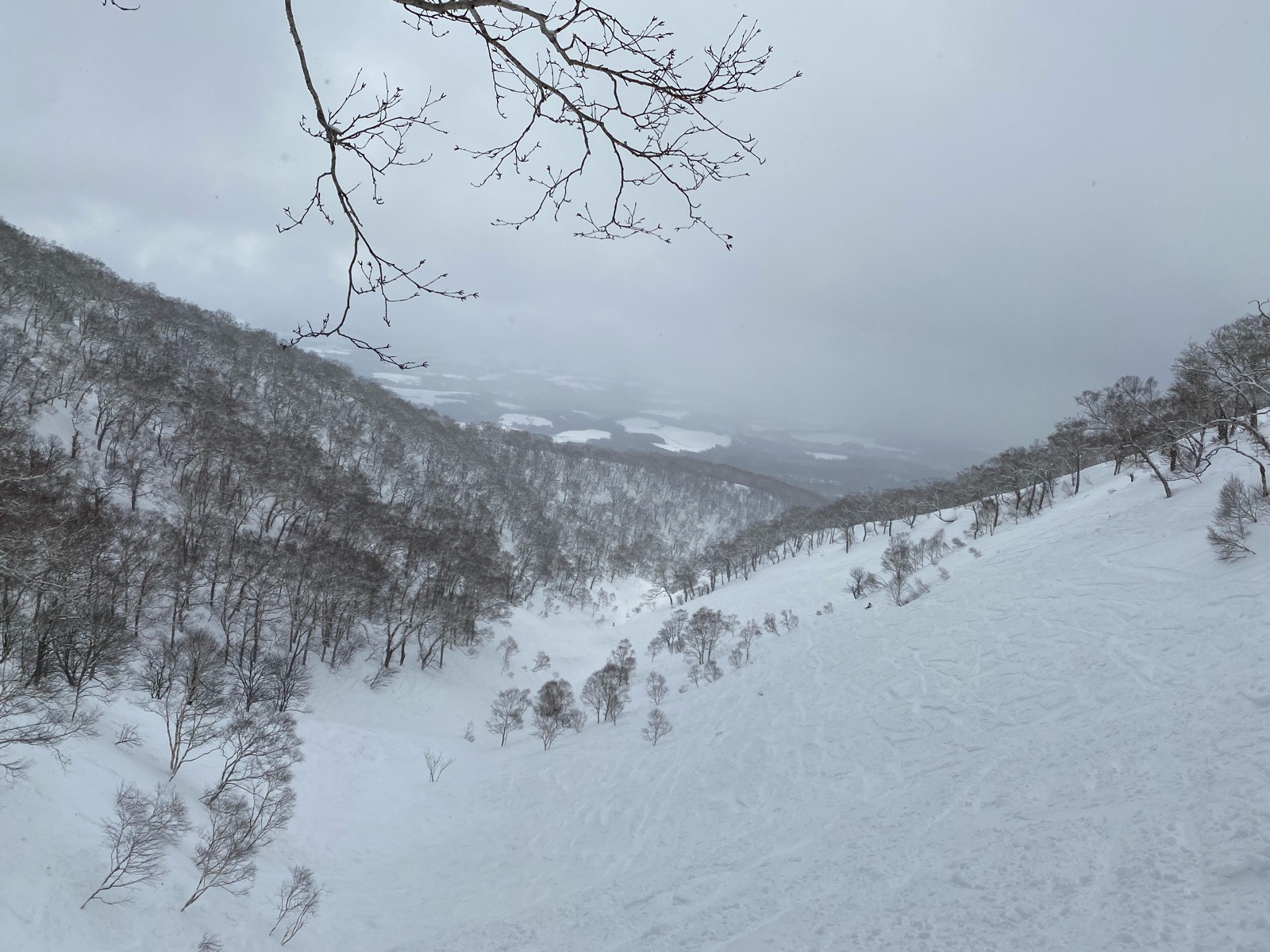 ニセコアンヌプリ国際