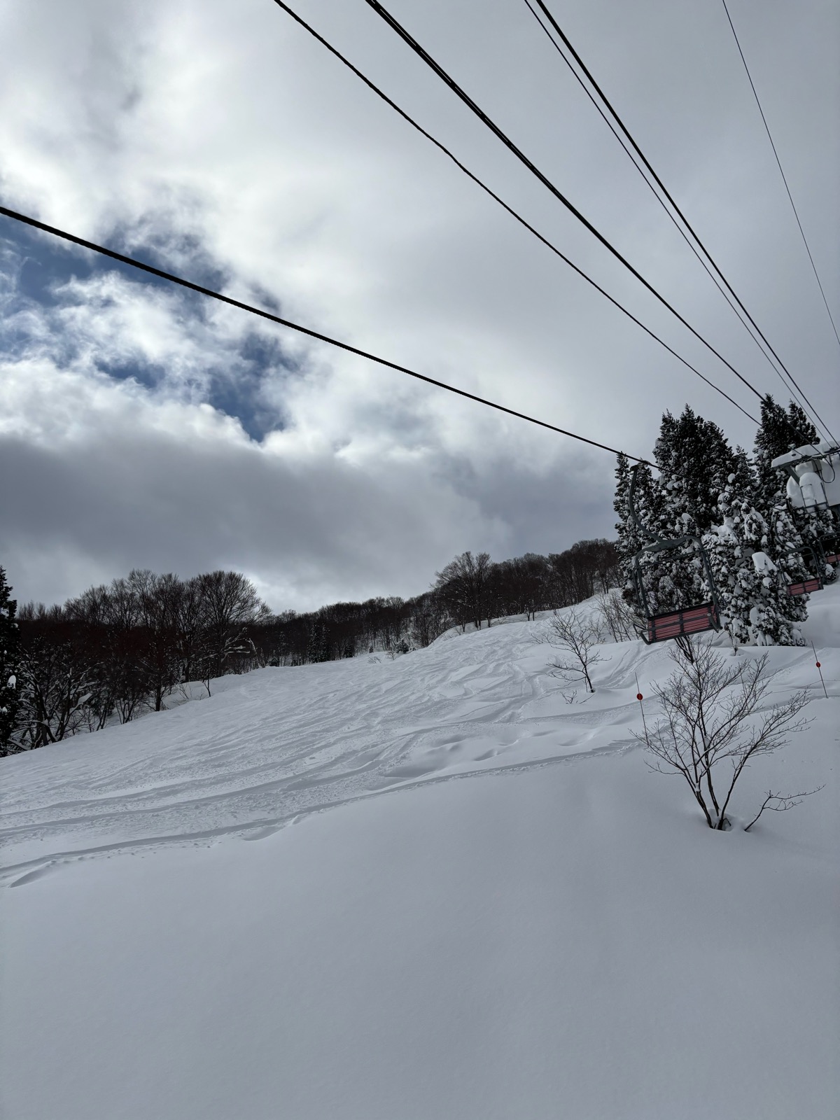 シャルマン火打スキー場