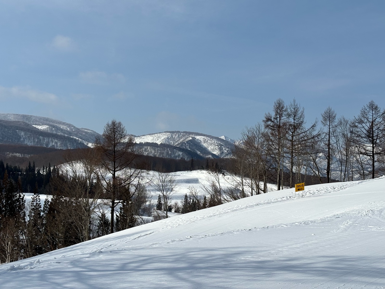 ニュー・グリーンピア津南