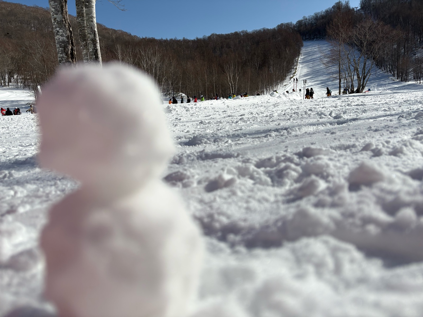 ホワイトワールド尾瀬岩鞍スキー場