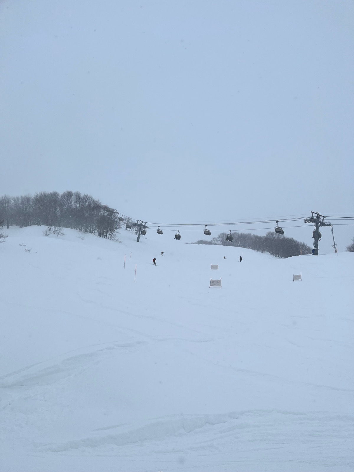 ロッテ アライリゾート