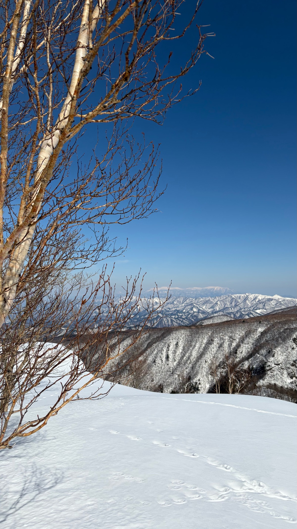 天元台高原スキー場