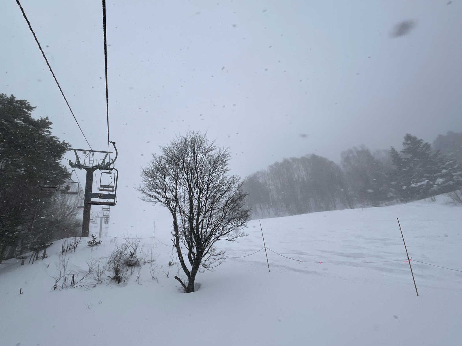 YAMABOKU ワイルドスノーパーク