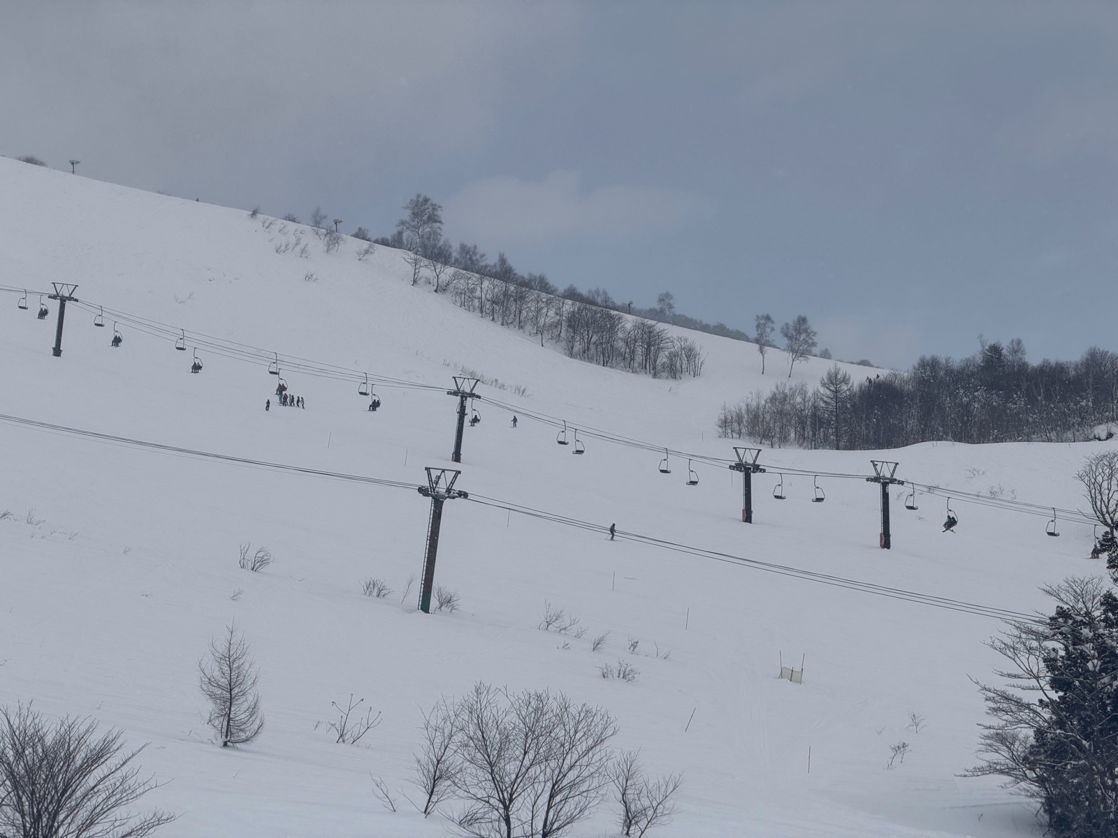 白馬コルチナスキー場