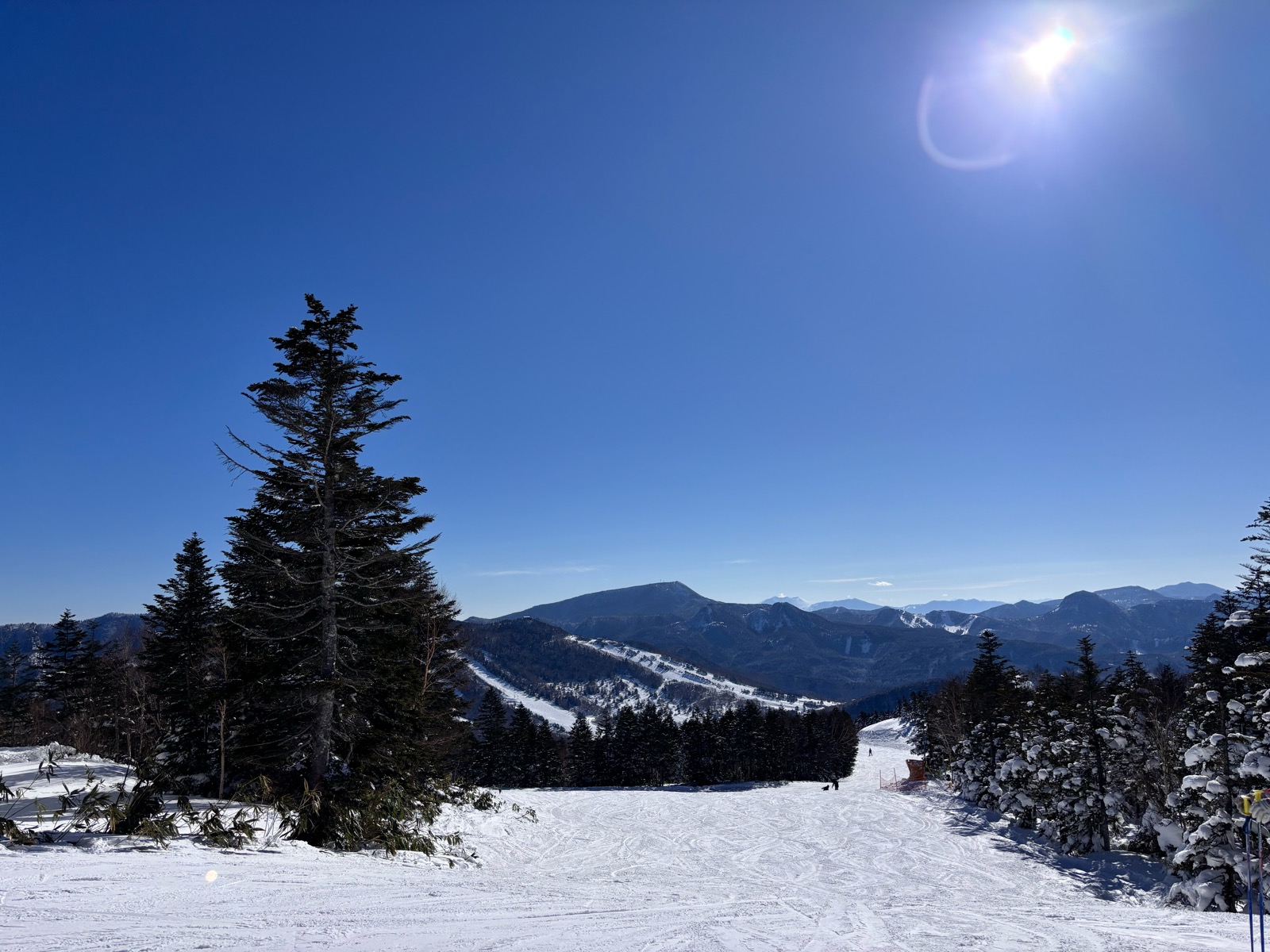 志賀高原 焼額山スキー場