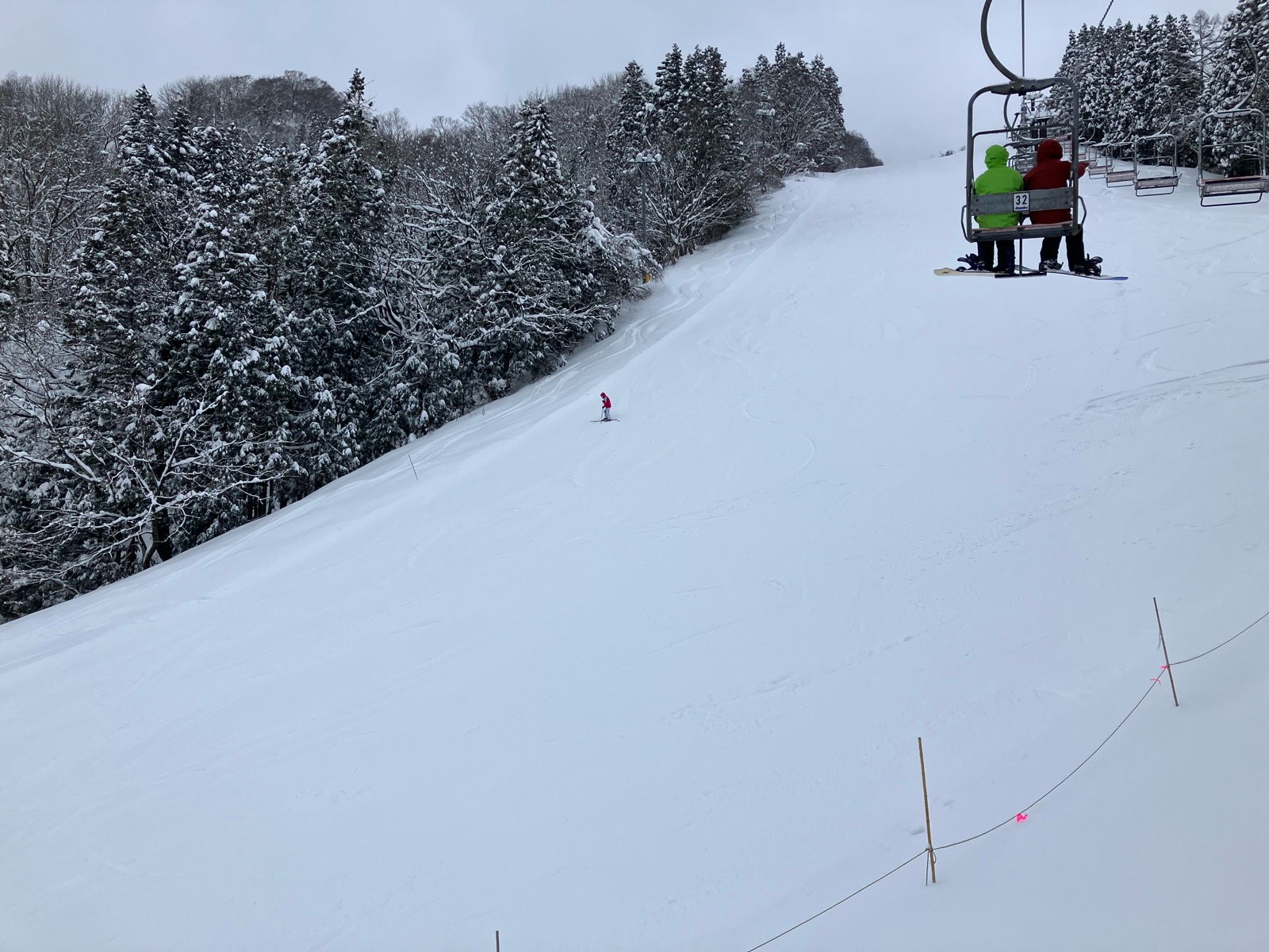 村上市営ぶどう