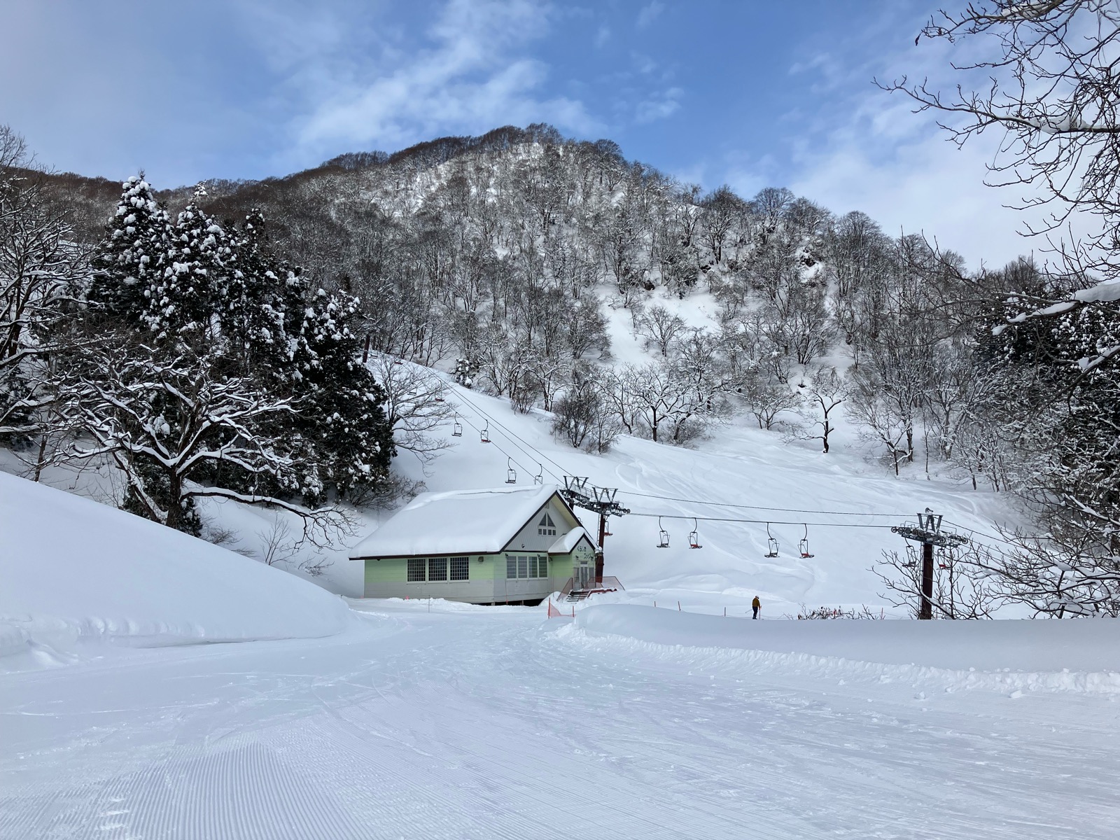 村上市営ぶどう