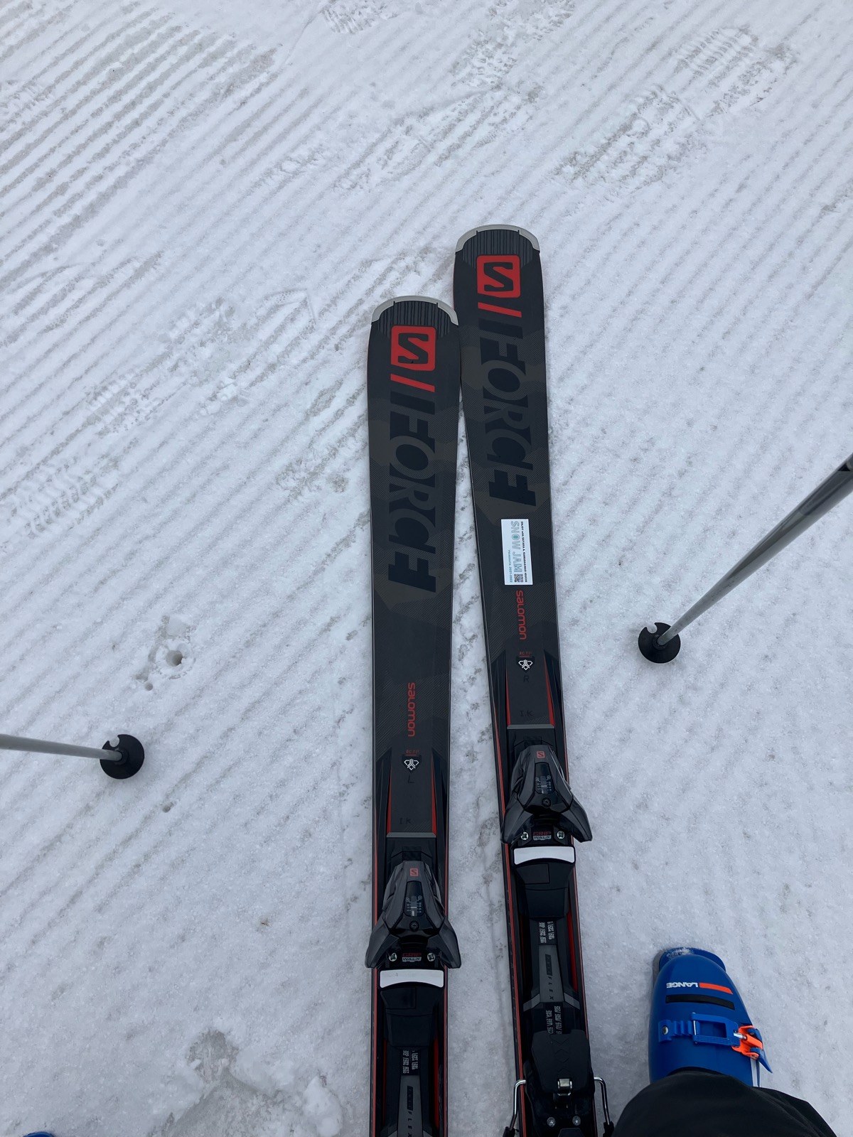 村上市営ぶどう