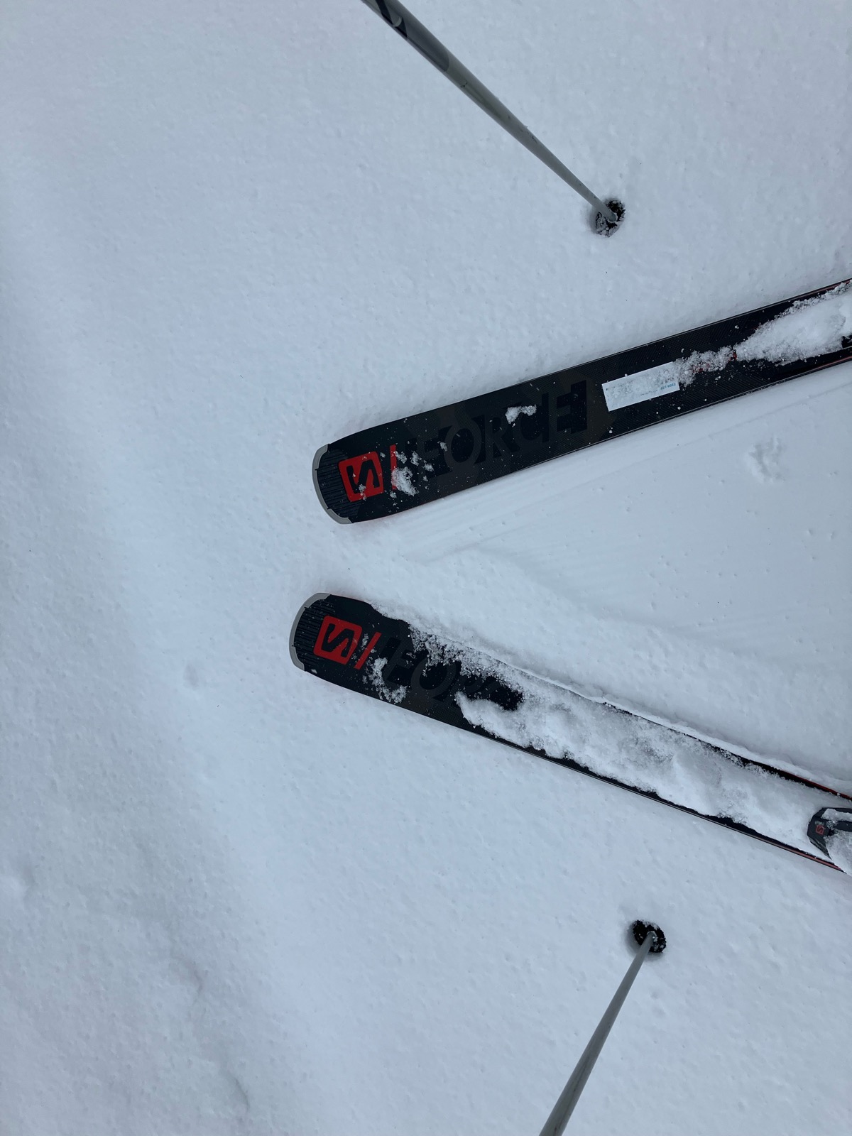 村上市営ぶどう