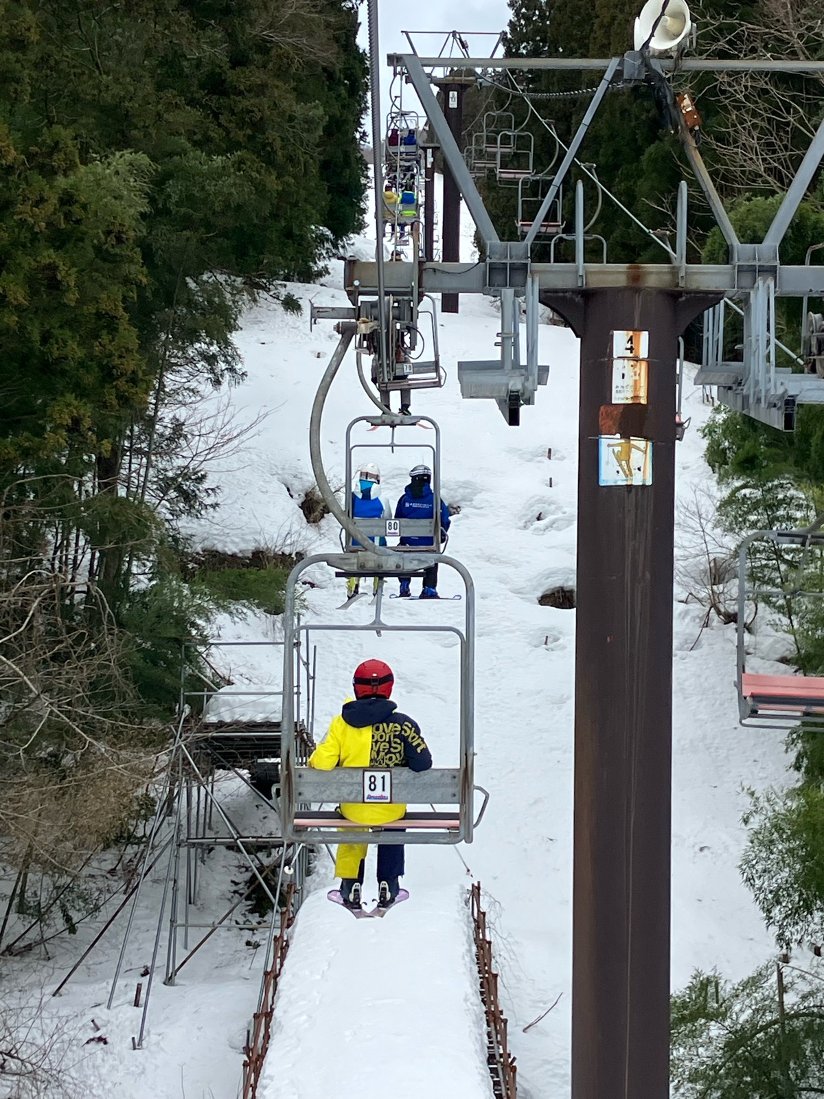 村上市営ぶどう