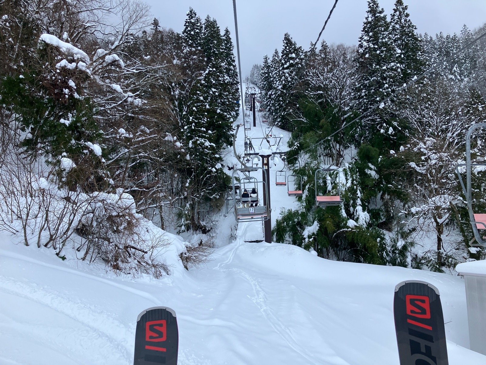 村上市営ぶどう