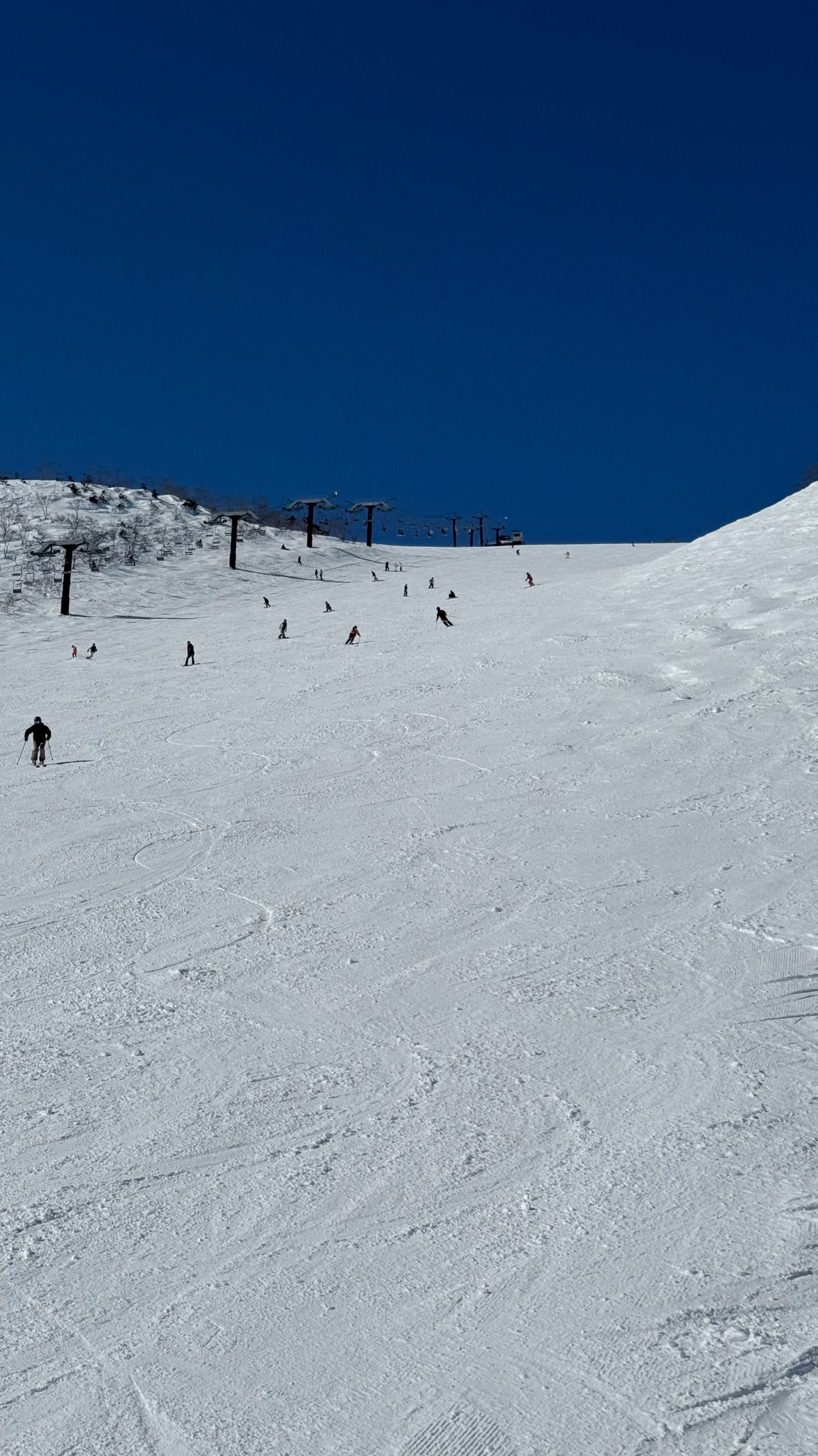 エイブル白馬五竜スキー場