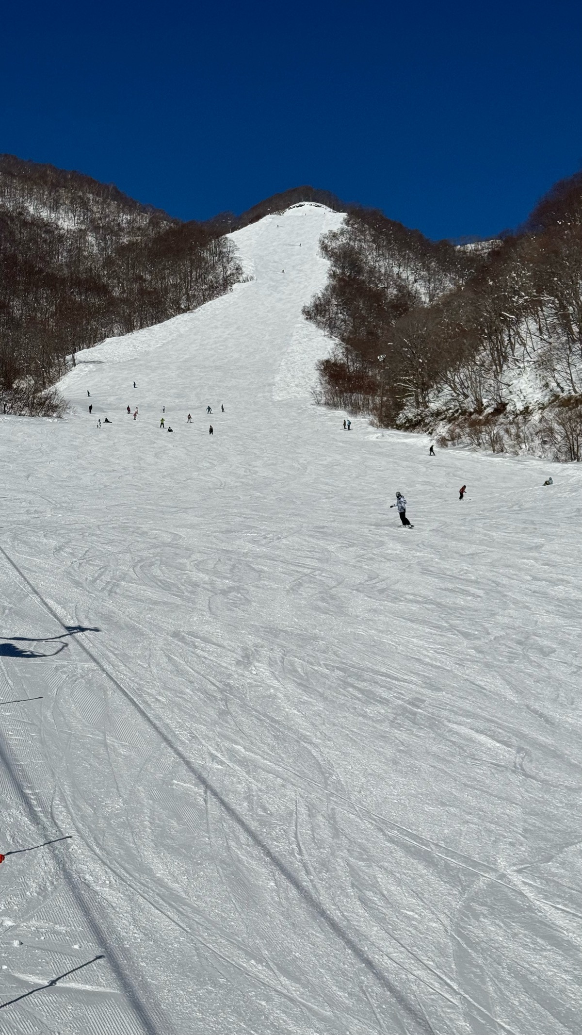白馬乗鞍温泉スキー場