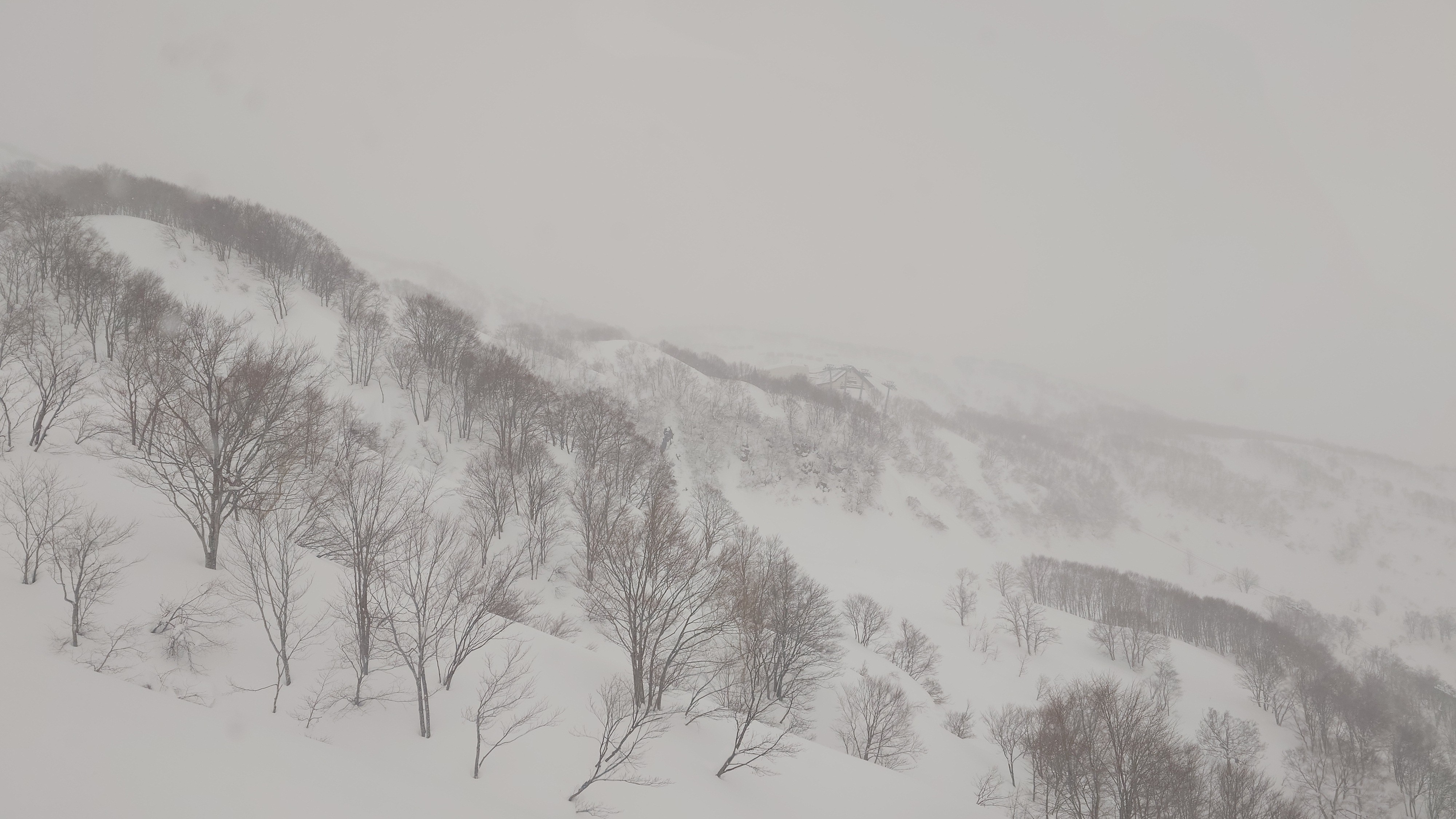 ロッテ アライリゾート