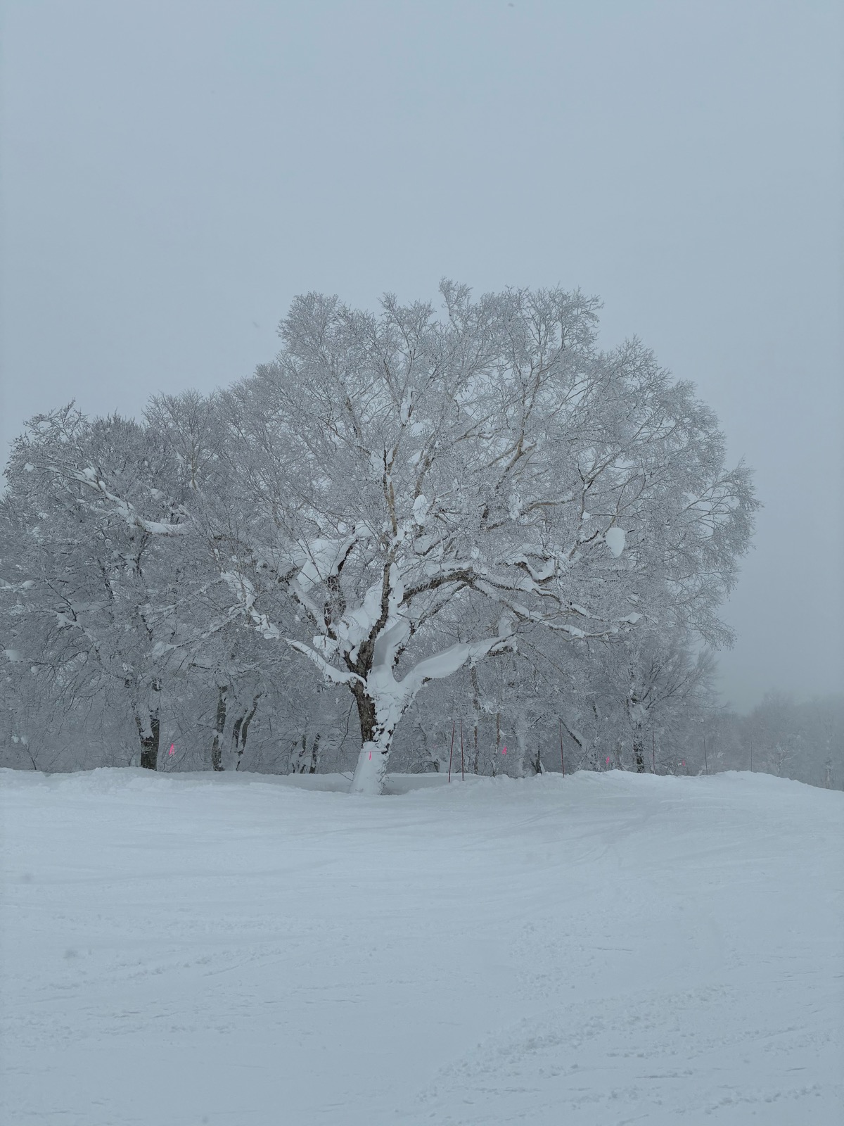 野沢温泉スキー場