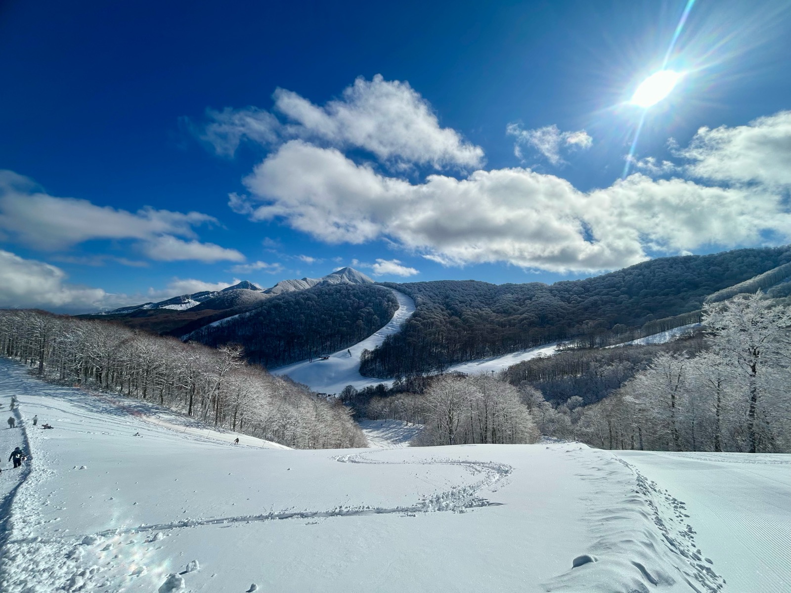 星野リゾート ネコマ マウンテン（北エリア）