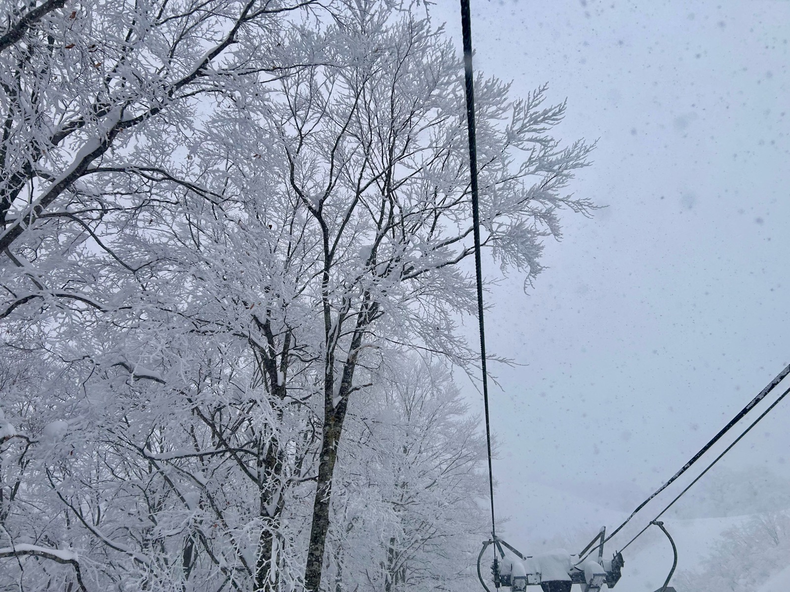 星野リゾート ネコマ マウンテン(北エリア)