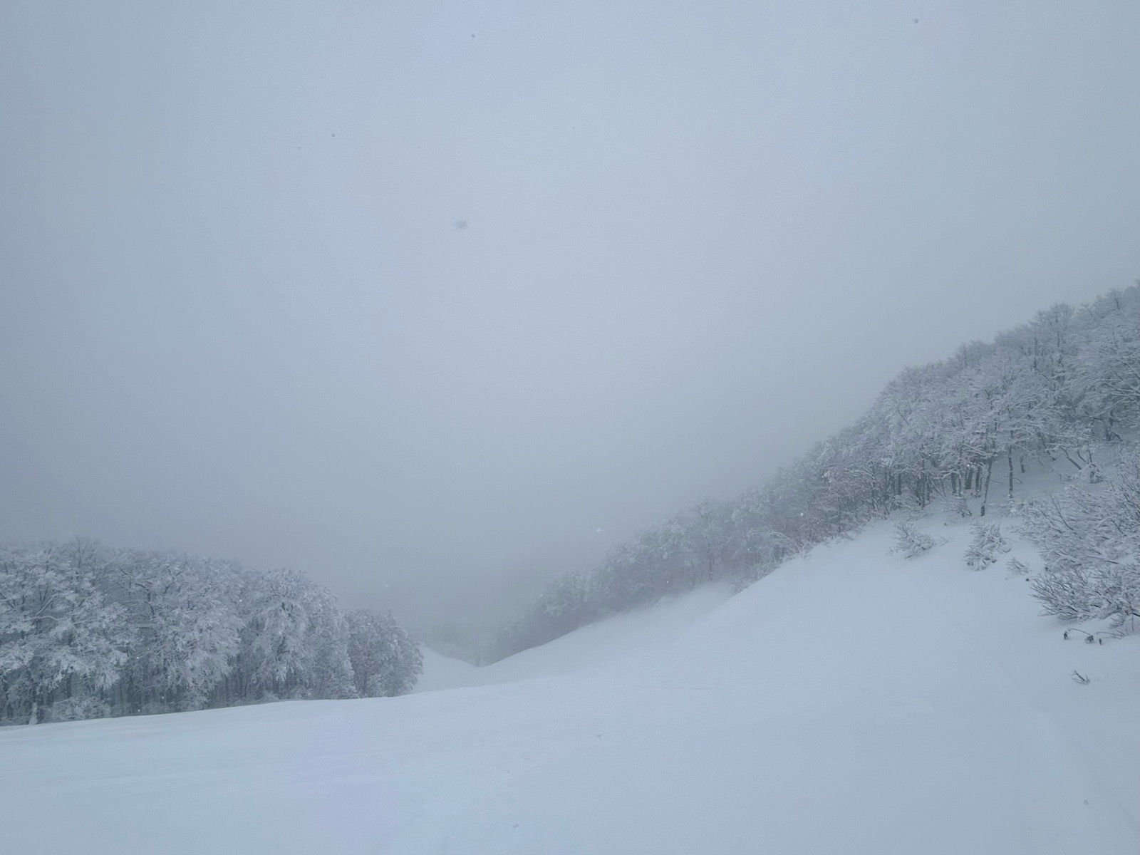 星野リゾート ネコマ マウンテン（北エリア）