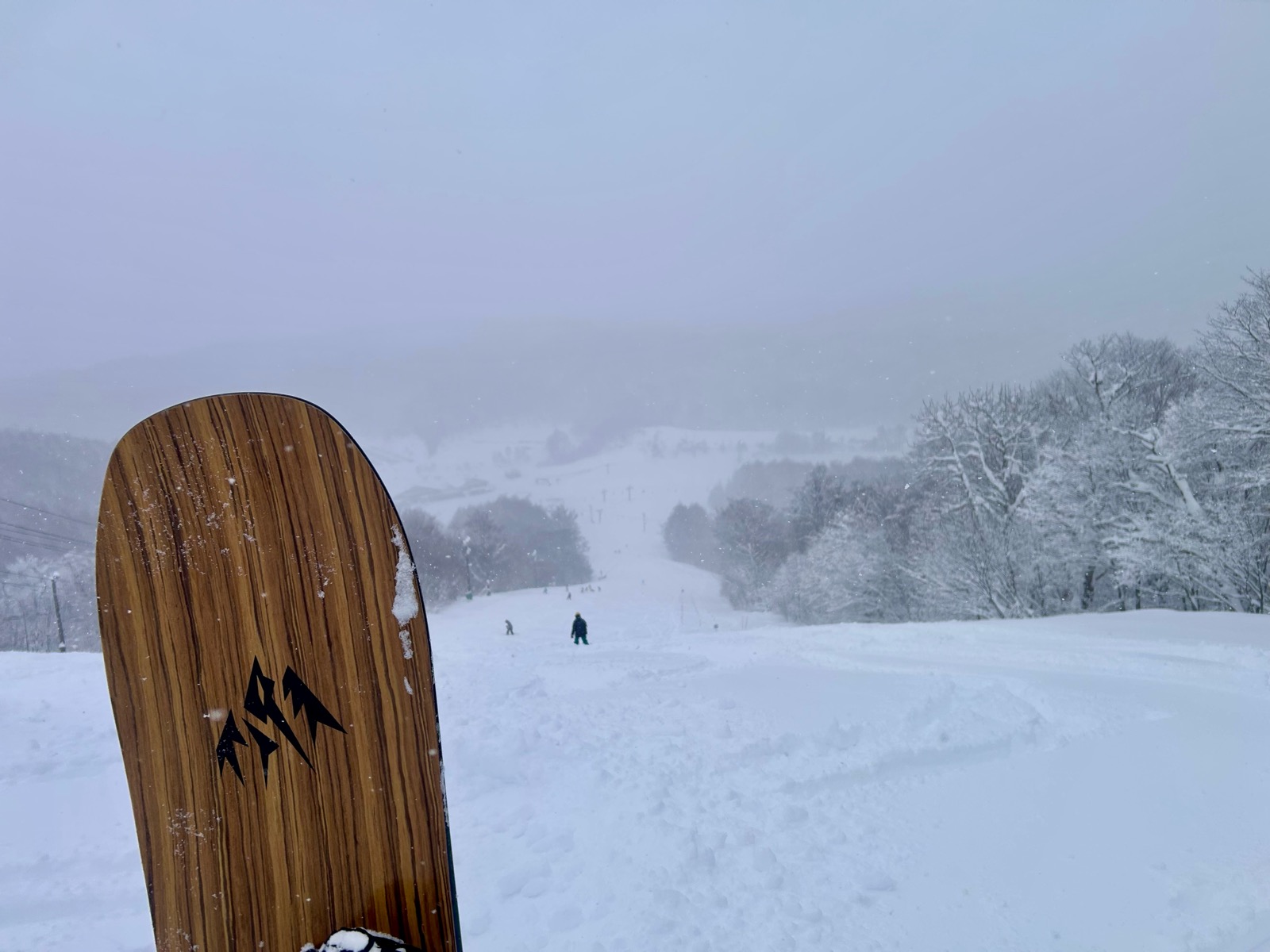 星野リゾート ネコマ マウンテン(北エリア)