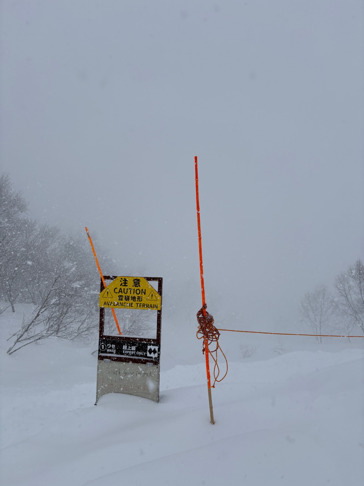 ロッテ アライリゾート