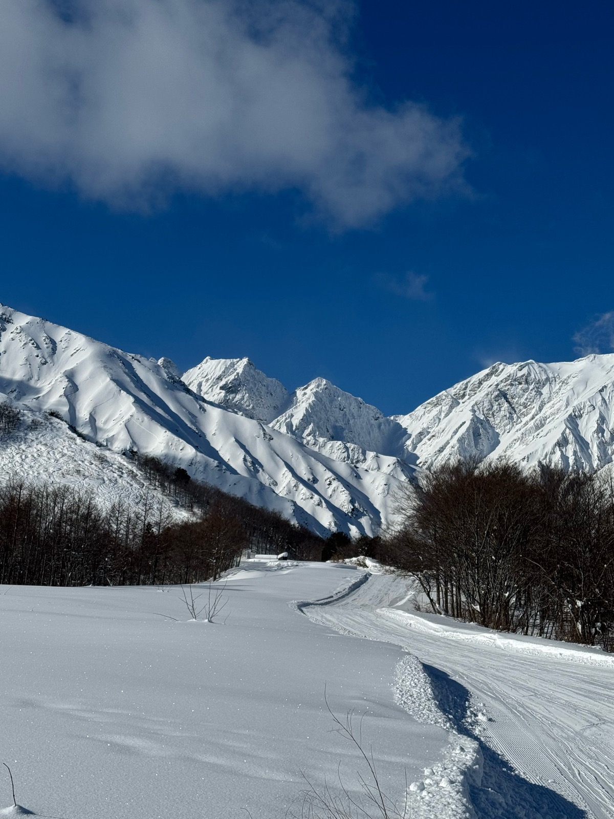 白馬八方尾根スキー場