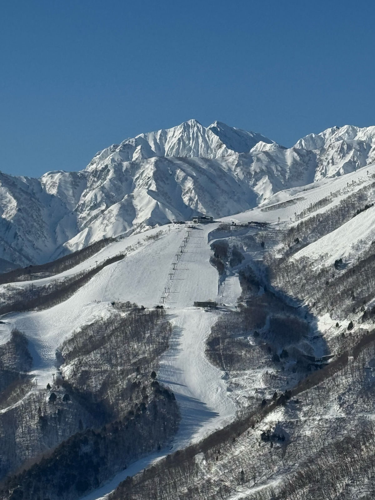 白馬岩岳スノーフィールド