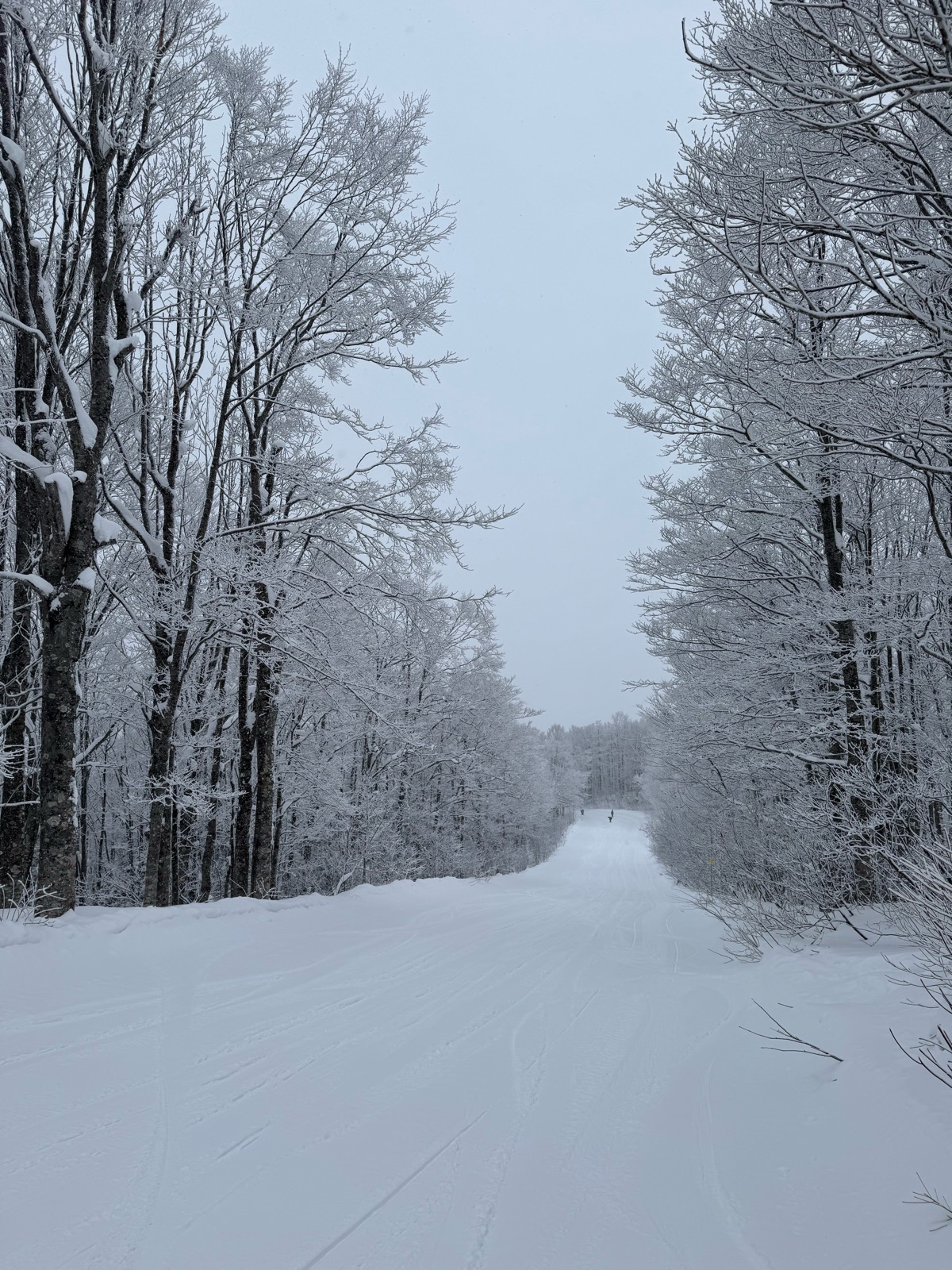 白馬岩岳スノーフィールド