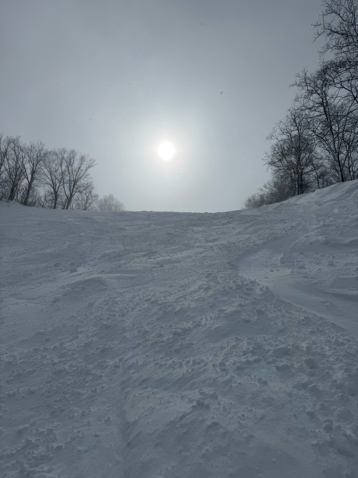 Hakuba47 ウィンタースポーツパーク 