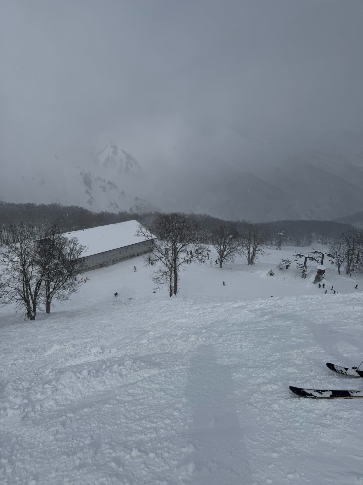 Hakuba47 ウィンタースポーツパーク 