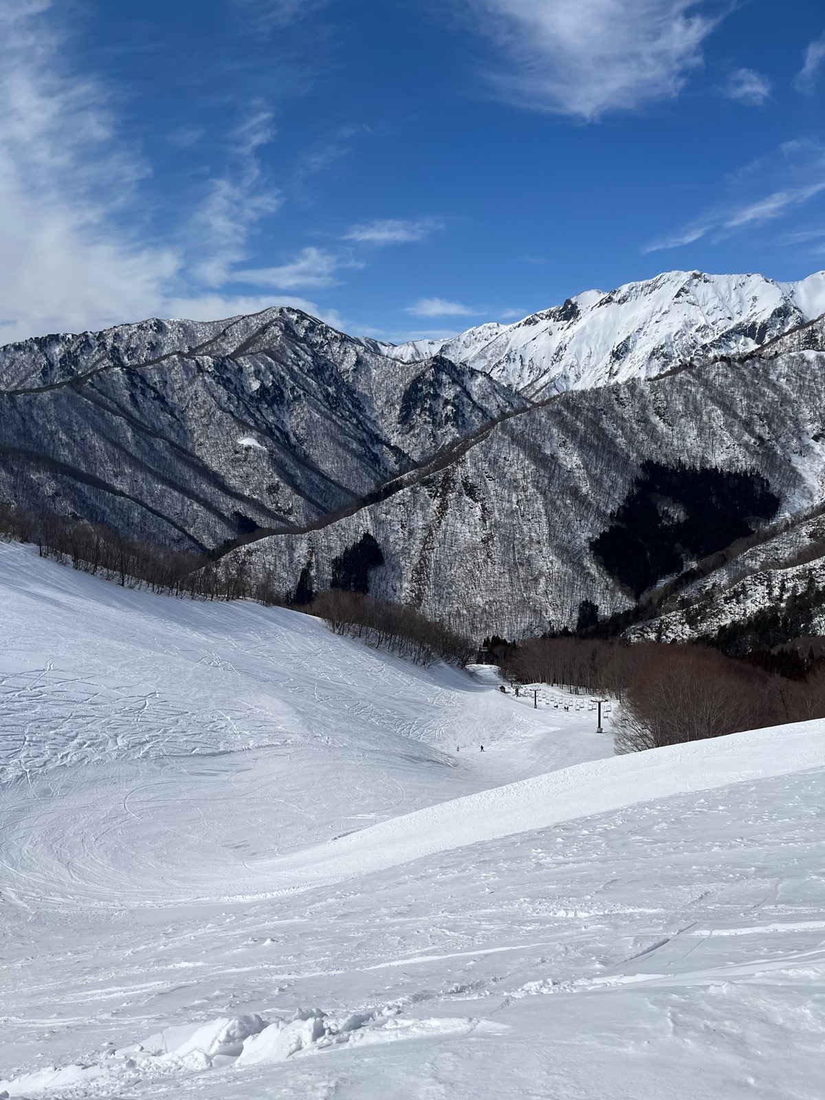 ホワイトバレー