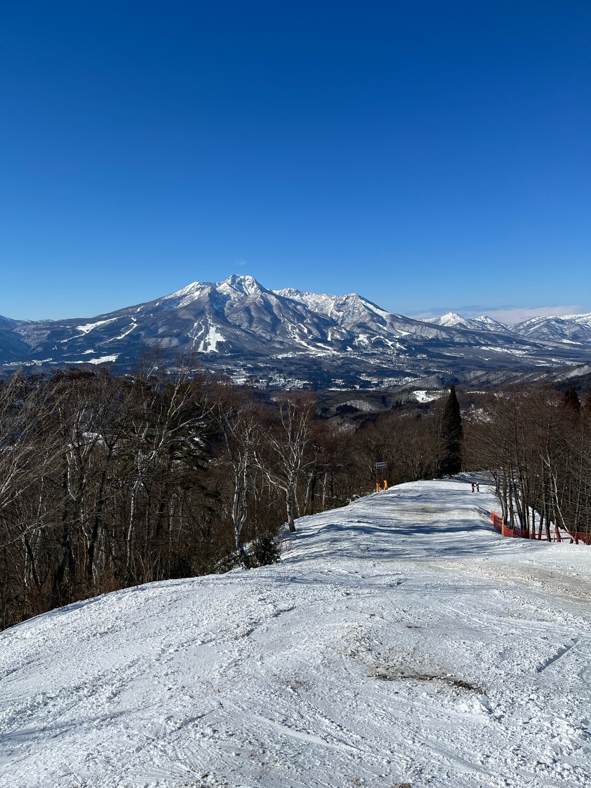 タングラムスキーサーカス