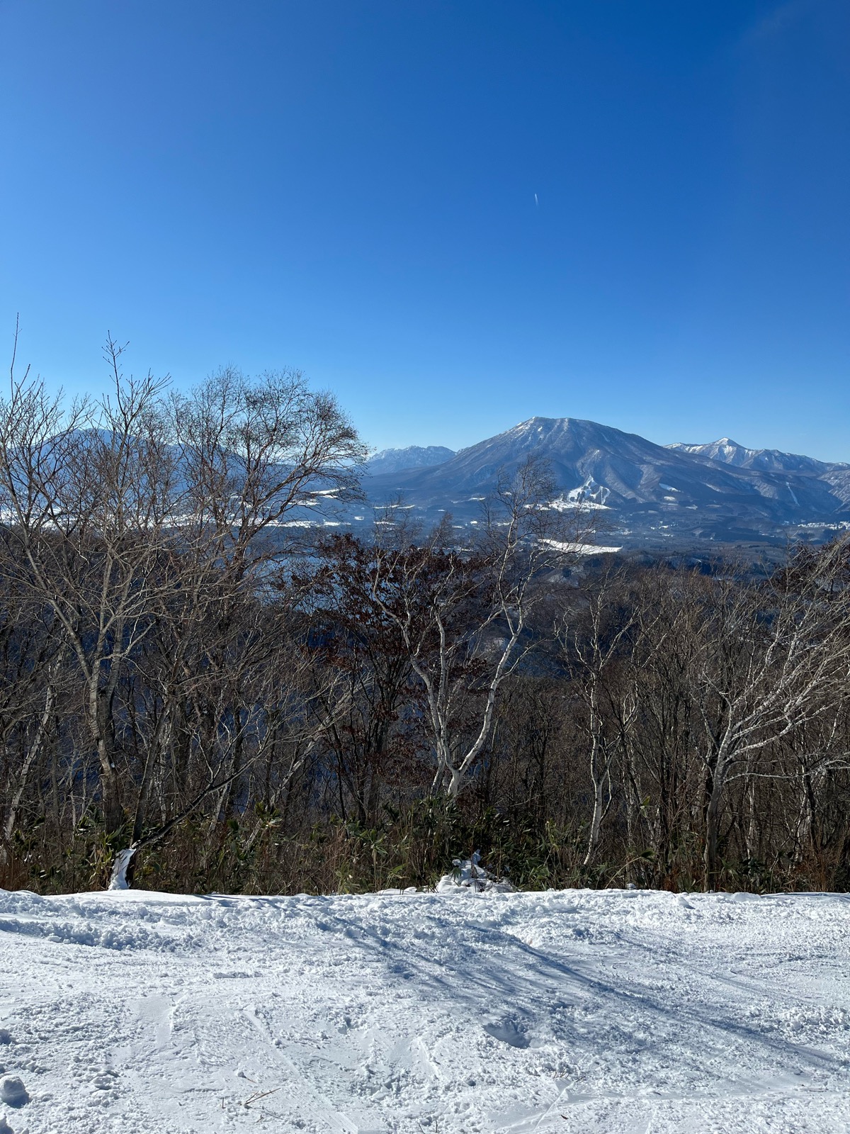タングラムスキーサーカス