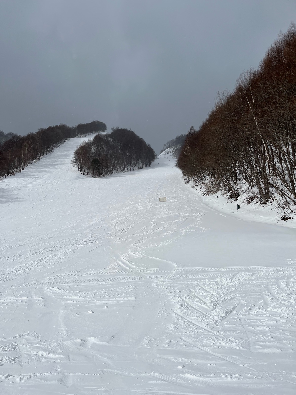 ホワイトワールド尾瀬岩鞍