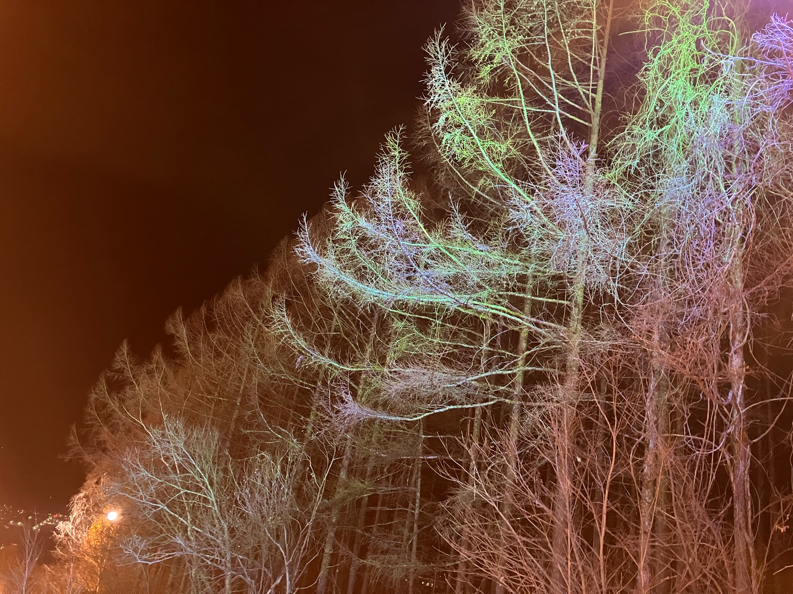 ノーザンアークリゾートスキー場