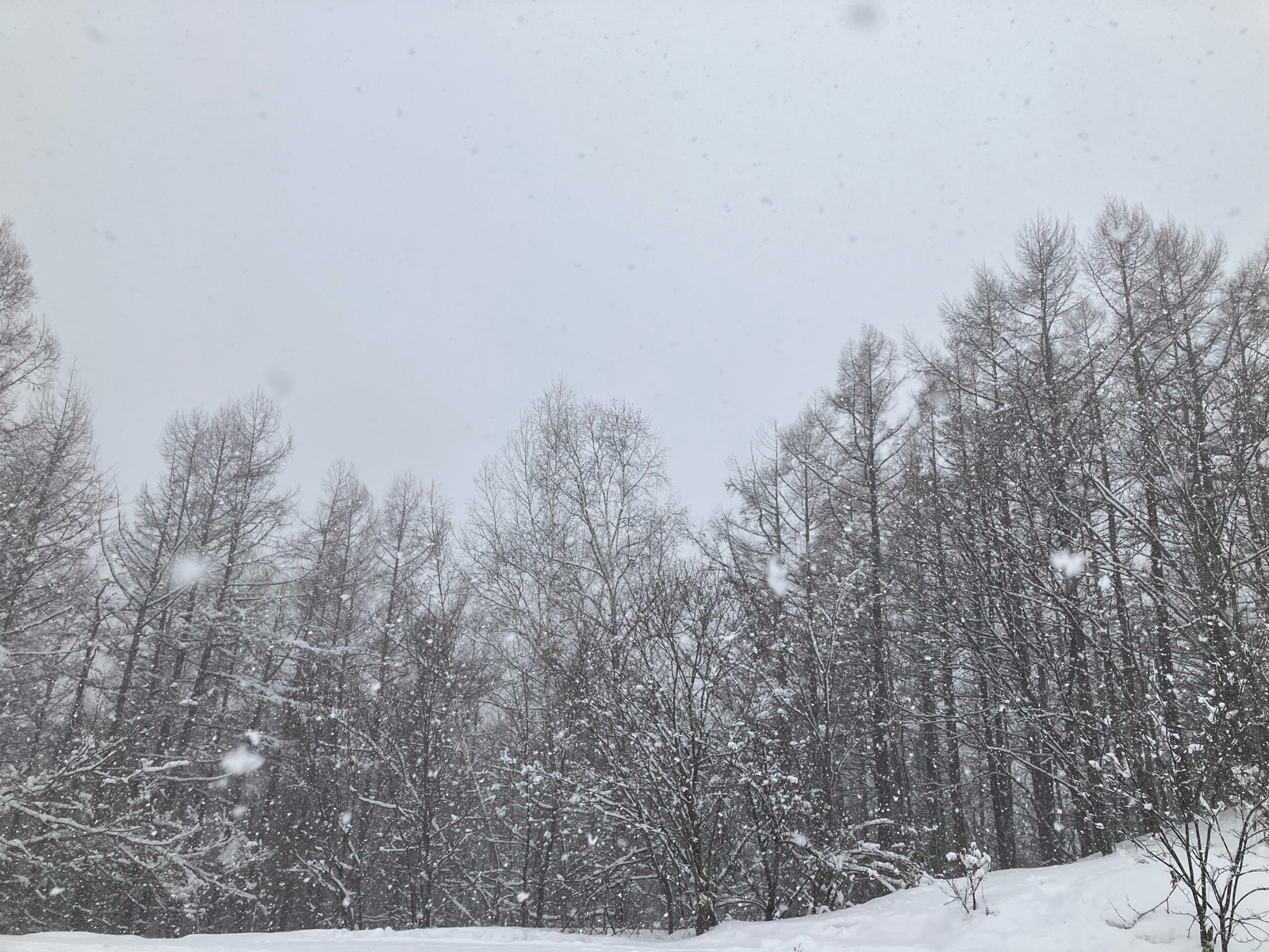 ノーザンアークリゾートスキー場