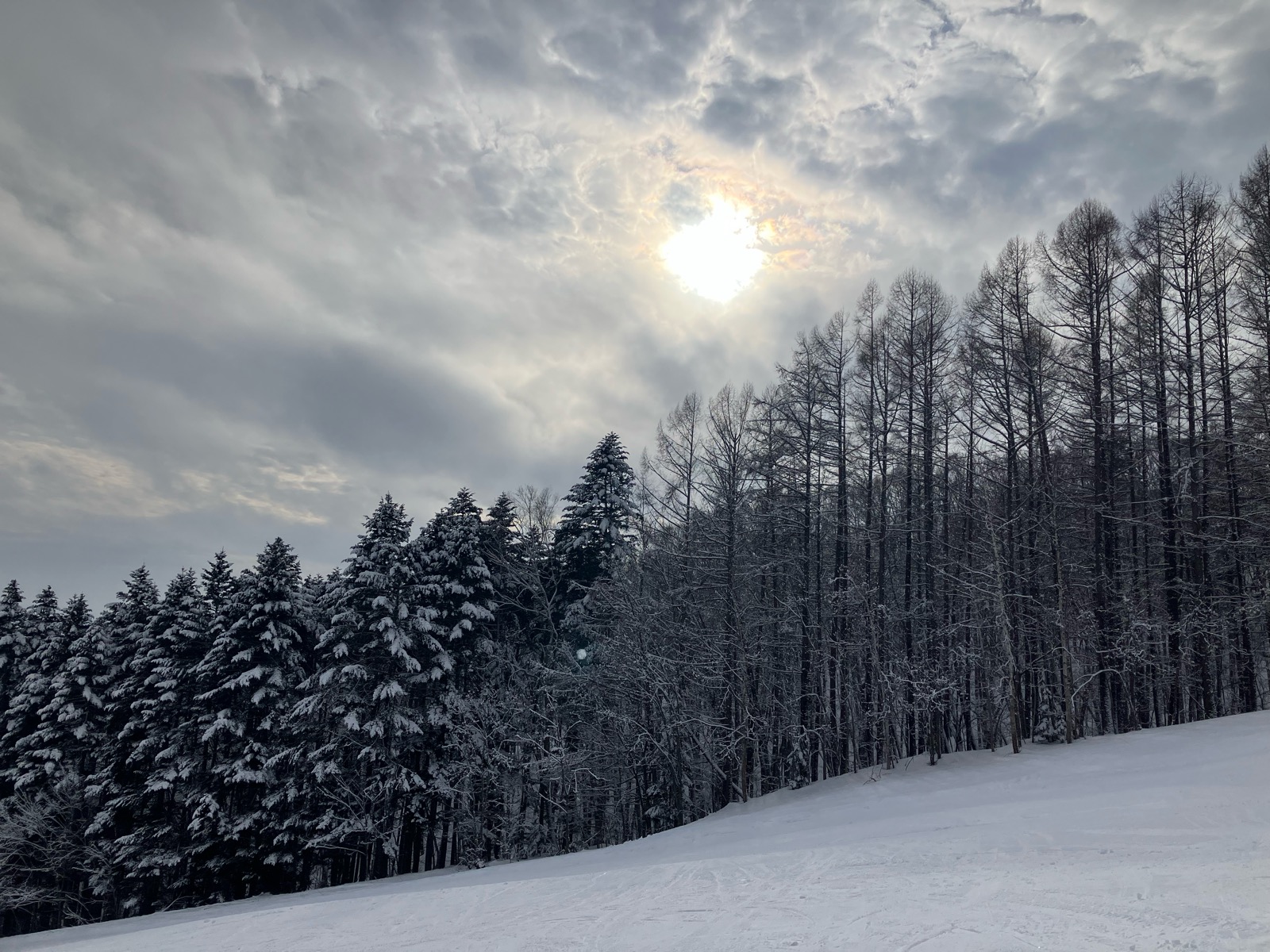 ノーザンアークリゾート