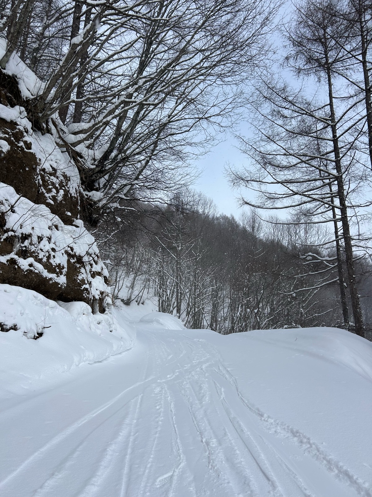 オグナほたかスキー場