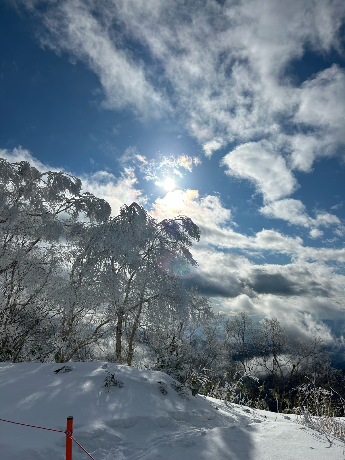 竜王スキーパーク