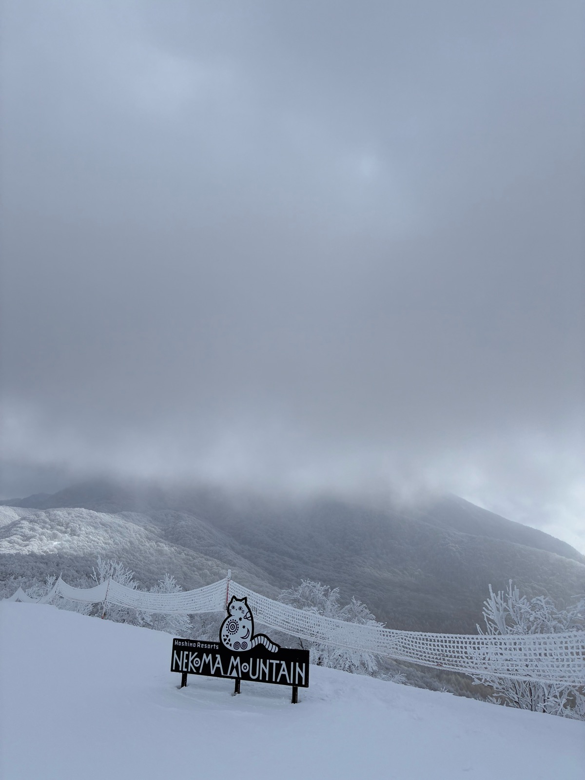 星野リゾート ネコマ マウンテン（南エリア）