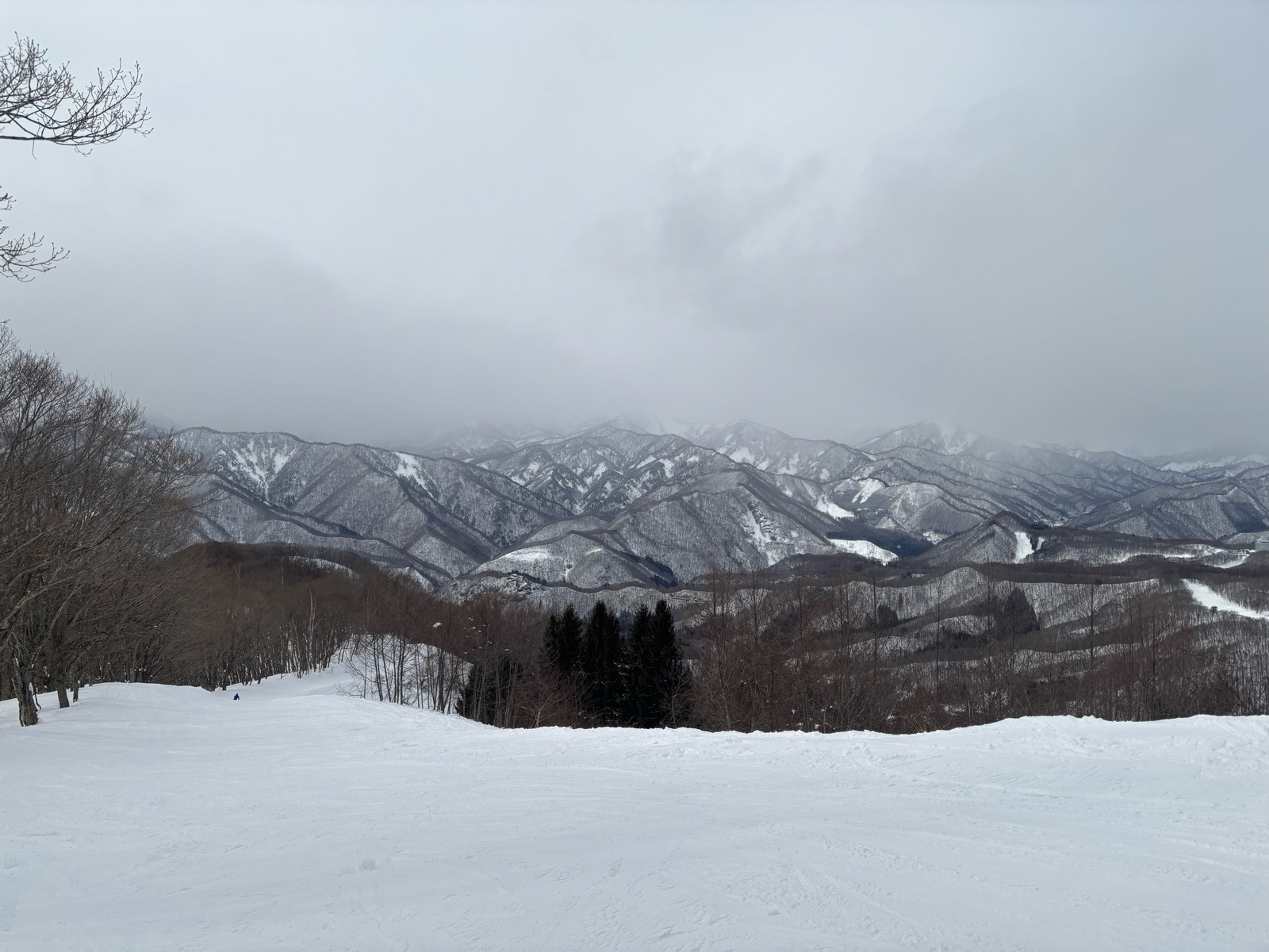 群馬みなかみ ほうだいぎ