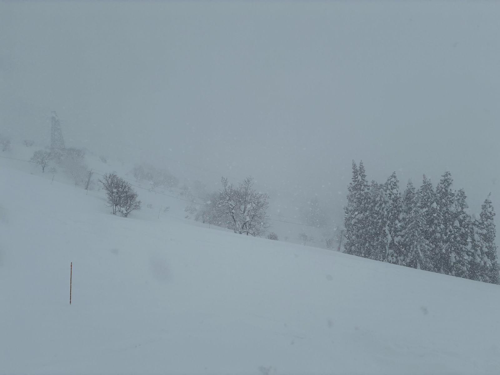 ムイカスノーリゾート